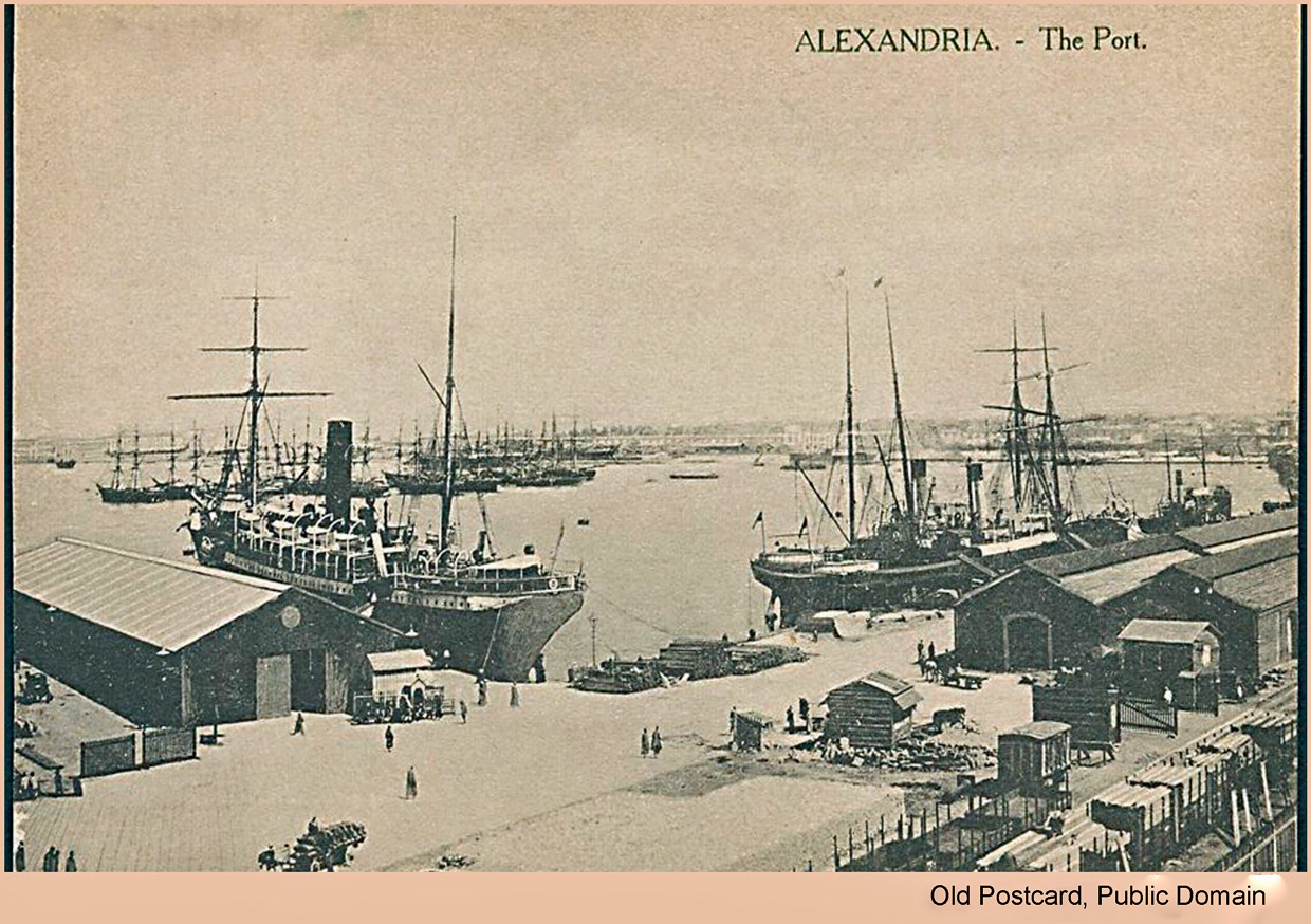 Wharves and Sheds at Alexandria